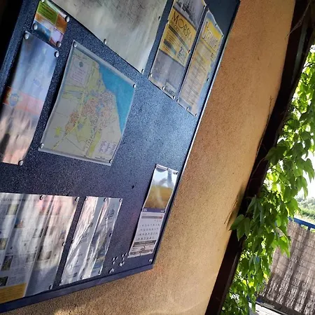 Katarina ホームステイ