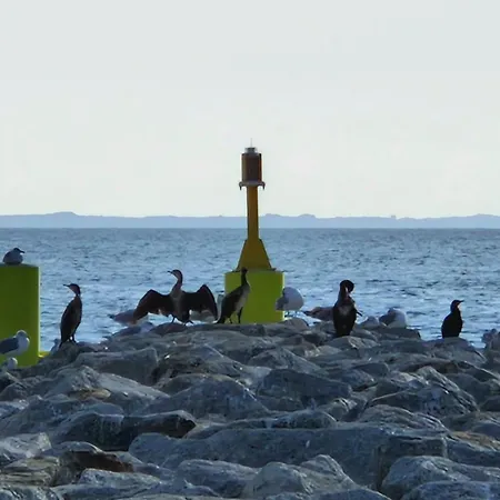 ホームステイ Katarina *