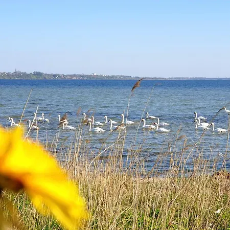 ホームステイ Katarina プツク