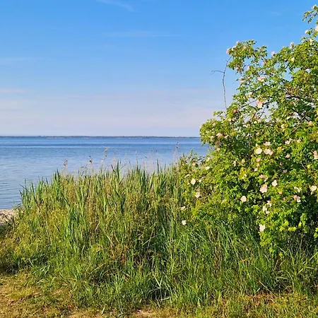 ホームステイ Katarina *