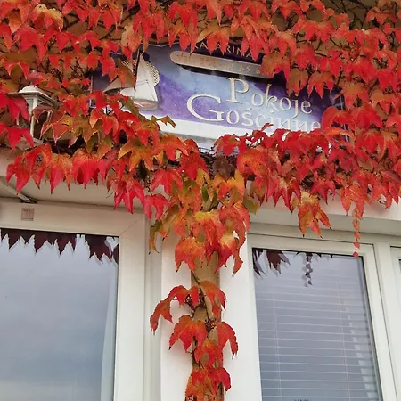 Séjour chez l'habitant Katarina