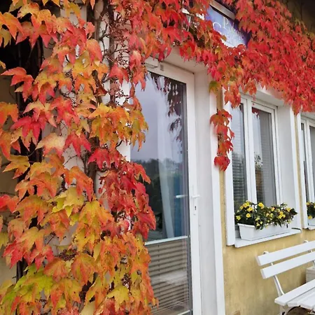 ホームステイ Katarina プツク