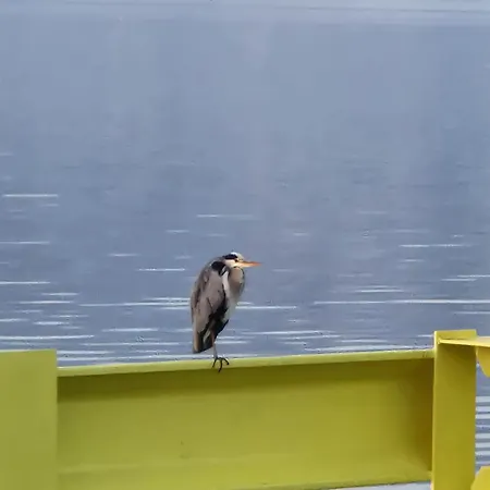 Séjour chez l'habitant Katarina Puck
